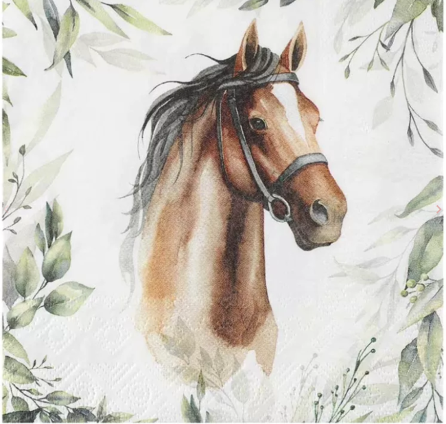 Serviettes équitation